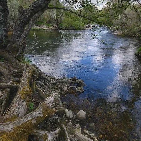 Aguas Frias Iii * La Omañuela