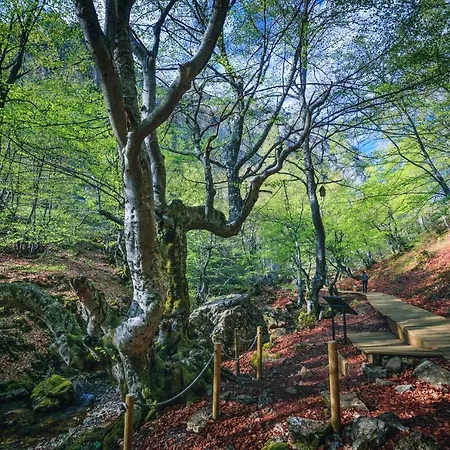 Casa de Férias Aguas Frias Iii *