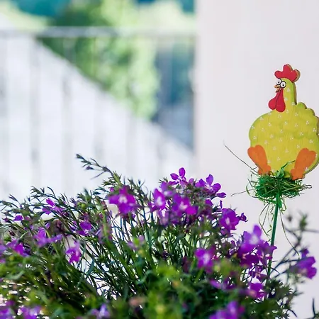 Aguas Frias Iii * La Omañuela