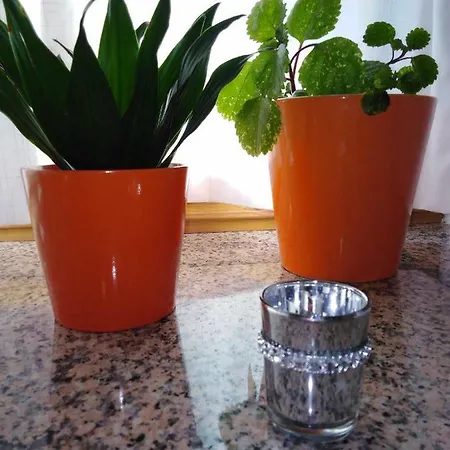 Aguas Frias Iii * La Omañuela