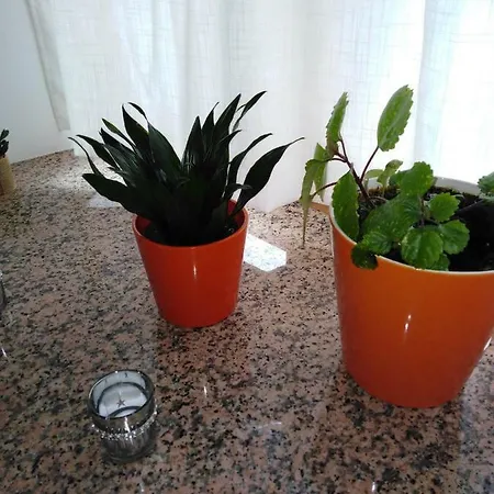 Aguas Frias Iii בית נופש La Omañuela