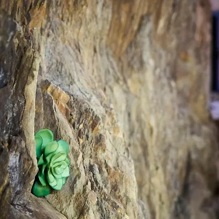 Casa de Férias Aguas Frias Iii *