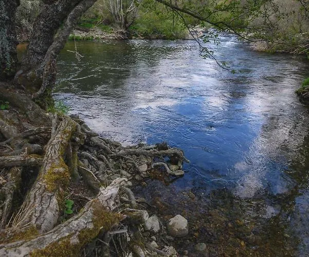 Aguas Frias Iii * La Omañuela