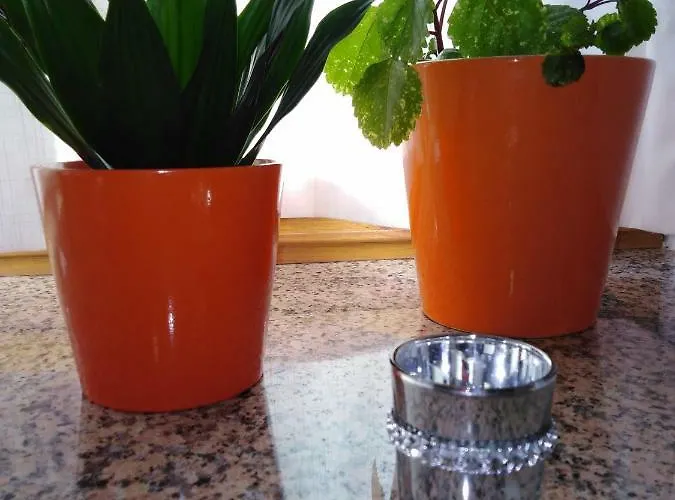 Aguas Frias Iii * La Omañuela