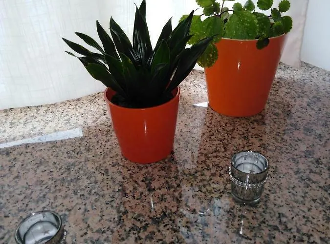 Aguas Frias Iii La Omañuela